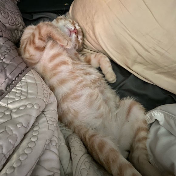 Meet your Posher, Janice - Picture 11 of 16